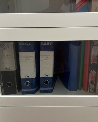 ANTA A VETRO BIANCO IKEA SANDVIK 60x38 802.918.54