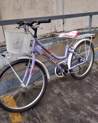 Bicicletta XMR con marce