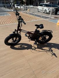 bicicletta elettrica