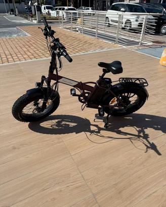 bicicletta elettrica