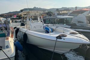 Boston Whaler Outrage 320