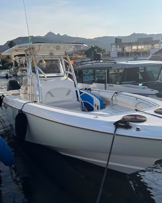 Boston Whaler Outrage 320