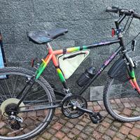 MOUNTANBIKE UOMO TG 26 CAMBIO DA SISTEMARE