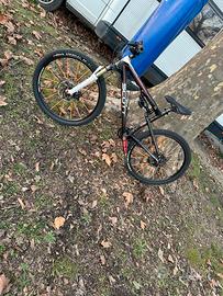 Bici da enduro