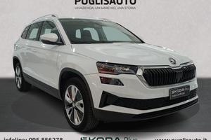 SKODA Karoq 2.0 TDI EVO SCR 115 CV DSG Style