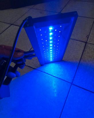 Lampada acquario