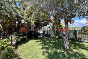 Aci Catena 5 vani +garage+giardino -3