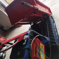 Motocariola cingolata