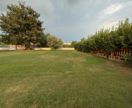 Terreno agricolo terracina