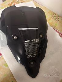 Cupolino WRS sport (Triumph Tiger Sport 800)