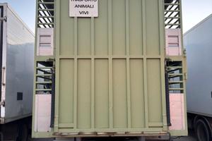 Trasporto animali vivi