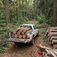 Pulizia Boschi, Abbattimento Alberi Pericolanti