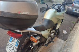 Honda transalp 650