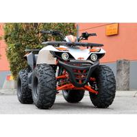 Quad Kayo AU125 Utility