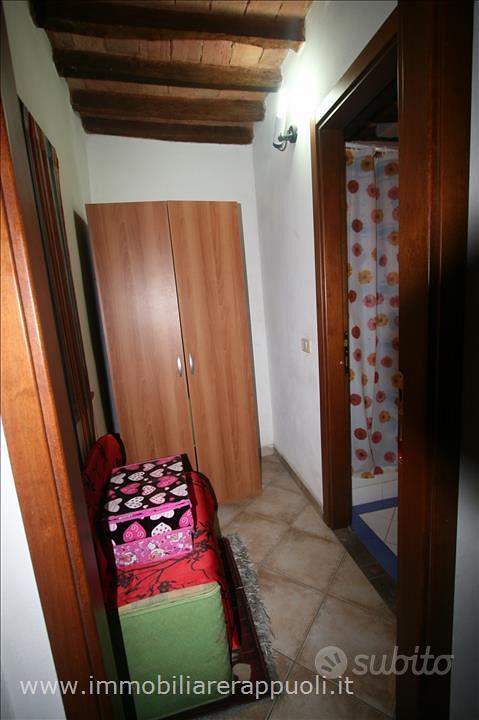 Apartment in Sinalunga, Siena - Altro
