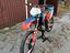 Immagine 3