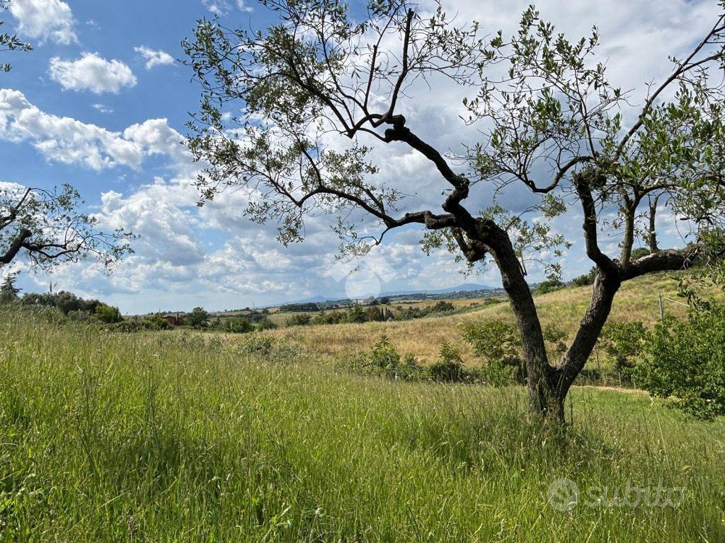 TER. RESIDENZIALE A MORLUPO - Vista 5