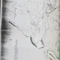 Terreno unico Antony Quinn