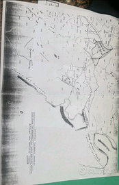 Terreno unico Antony Quinn