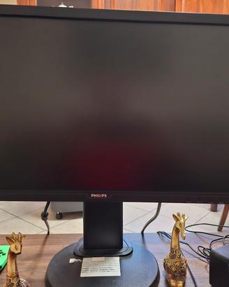 monitor Philips movibile 