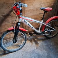 bicicletta bottecchia raggio 24 SUPEROFFERTA
