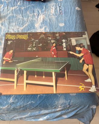 Set da ping pong completo per collezionisti