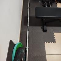 bilanciere lacertosus 