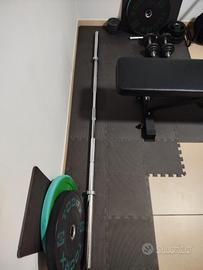 bilanciere lacertosus 