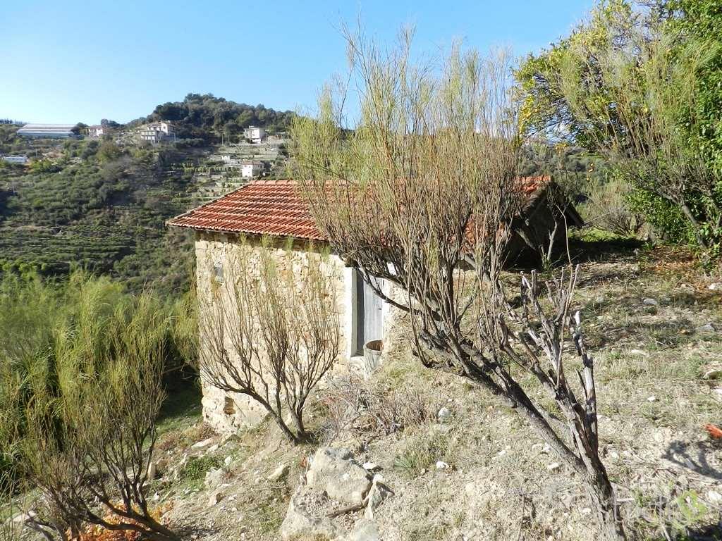Rustico-Casale a Bordighera - Vista 3