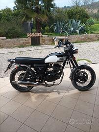 Mash Seventy Five 125