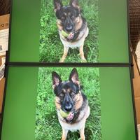 FlipGo Pro 16"  doppio schermo monitor portatile –