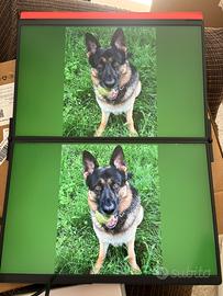 FlipGo Pro 16"  doppio schermo monitor portatile –