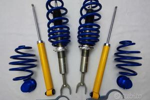 Ammortizzatori Sportivi Audi A6 4B VW Passat B6