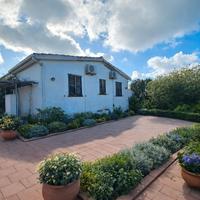 Casa indipendente con 5000 mq di terreno