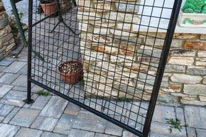 griglia ape 50 
