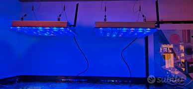 2 plafoniere orphek icon compact