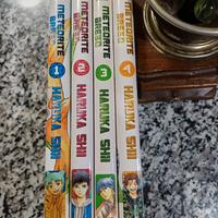 Meteorite Breed Manga