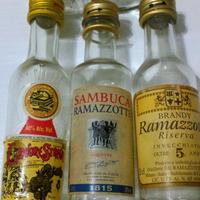 Collezione Di 5 Bottiglie Mignon