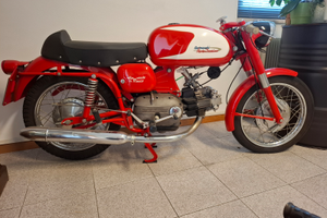 Aermacchi