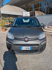 Fiat Panda 1.2 Bz 69 Cv Lounge