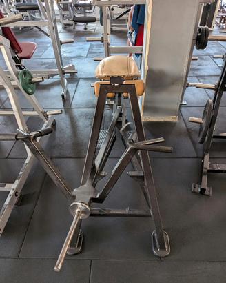Splendita  T-bar panatta
