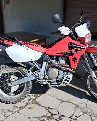 Honda XR 650 Dallara  PERFETTA