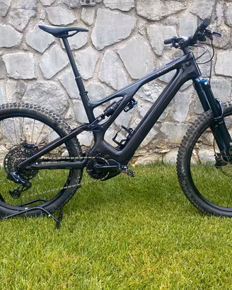 Specialized Turbo Levo EMTB