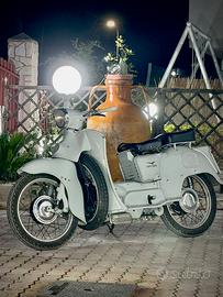 Galletto  guzzi