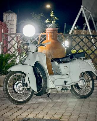 Galletto  guzzi