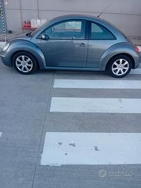New beetle 