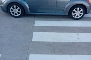 New beetle 