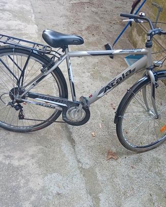 Bicicletta da città/trekking Atala Boston.