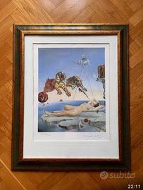 Litografia numerata di Salvador Dalí, in ottime co