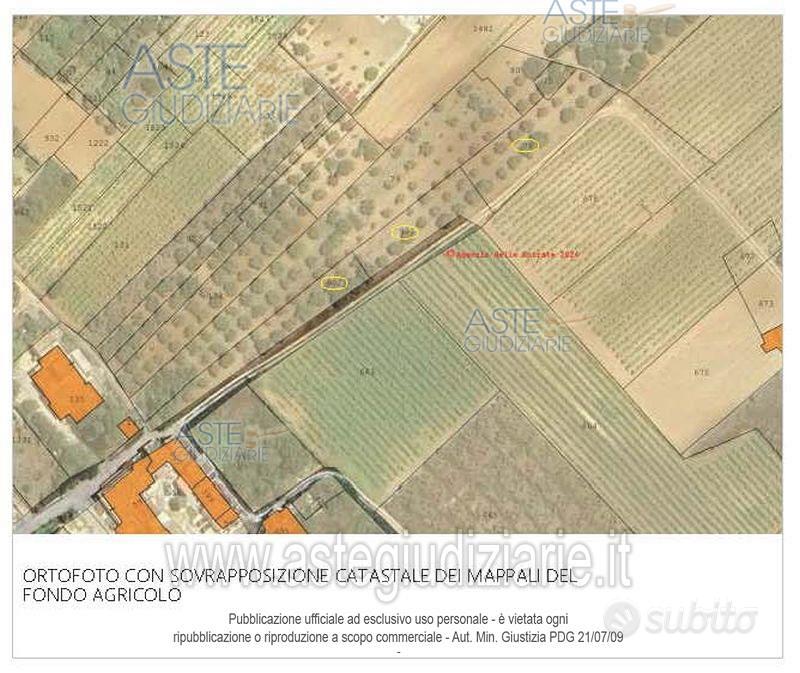 Terreno Agricolo Marsala [A4344214] - Vista 5